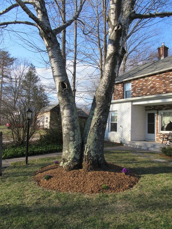 543 Riverside Drive Northampton, MA 01062 - Photo 29 of 29
