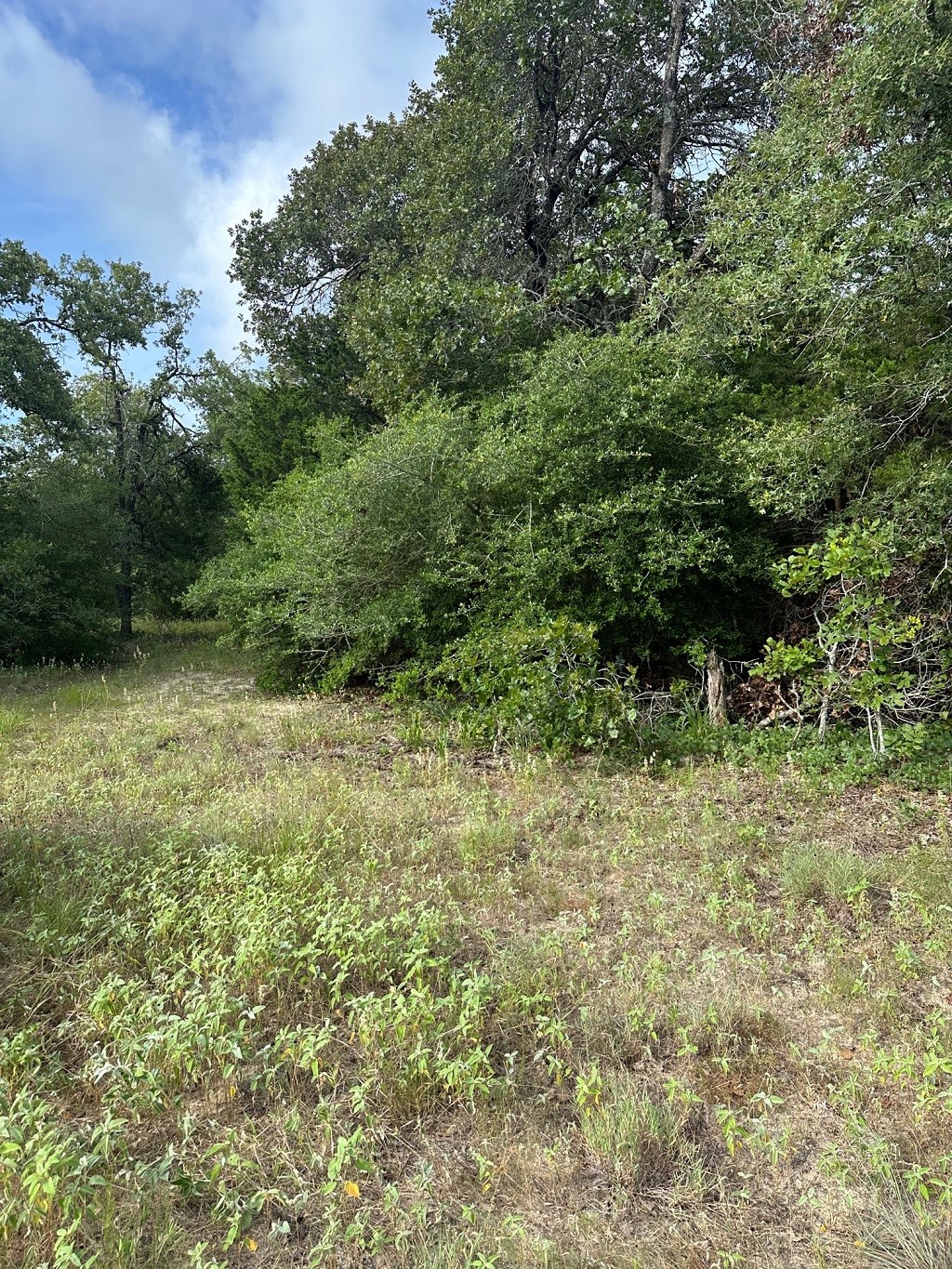 145 Private Road 6070 Cameron, TX 76520 - Photo 14 of 17