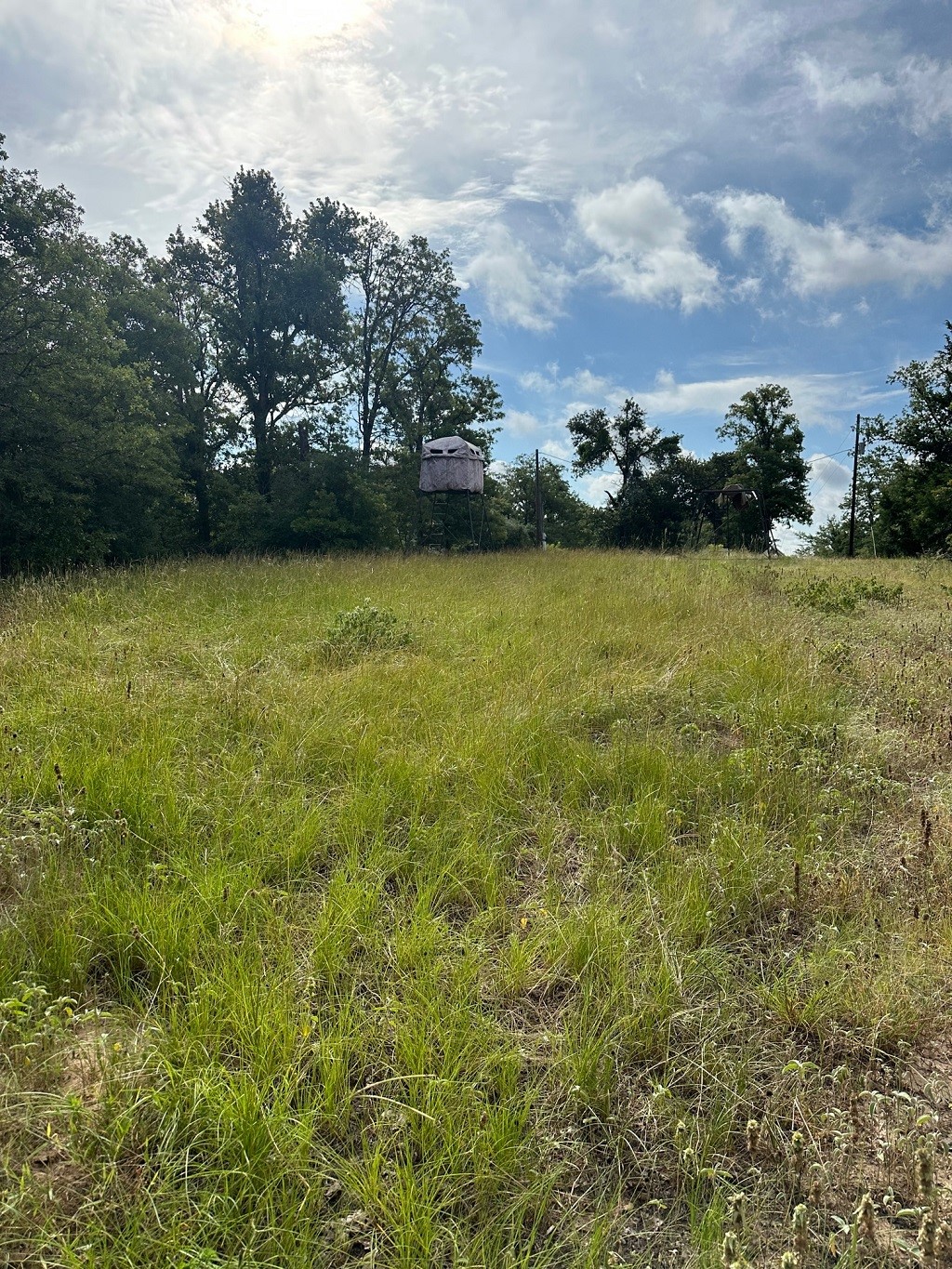 145 Private Road 6070 Cameron, TX 76520 - Photo 15 of 17