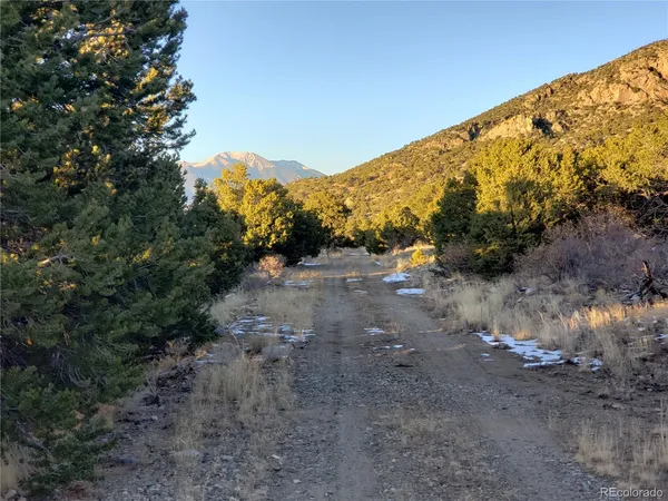 a view of a road with a yard