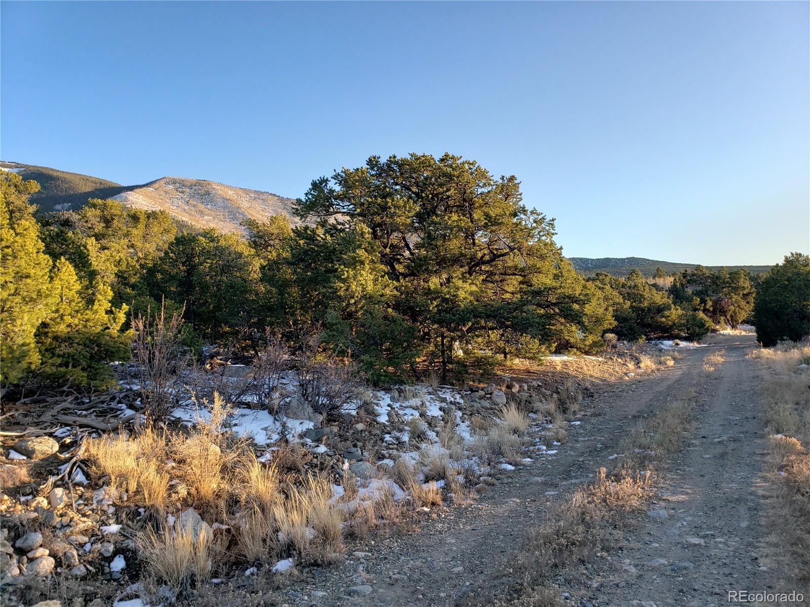 103 Arrowhead Lane Mosca, CO 81146 - Photo 3 of 11 a view of a dry yard with trees