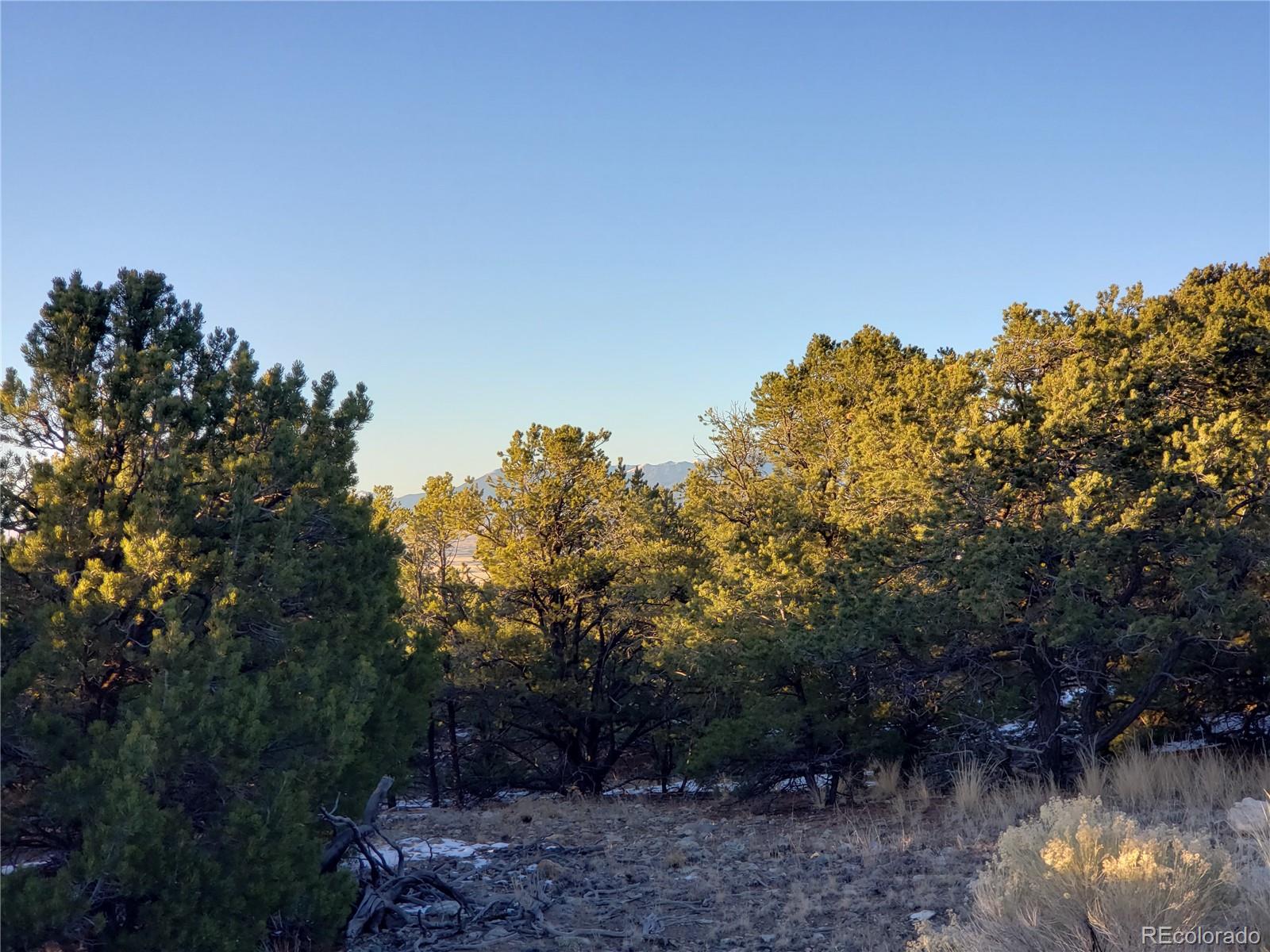 103 Arrowhead Lane Mosca, CO 81146 - Photo 4 of 11 a view of a lake with a tree in the background