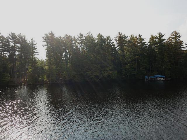 Four 4 Mile Lake Road Three Lakes, WI 54562 - Photo 2 of 5 Gallery Image 2