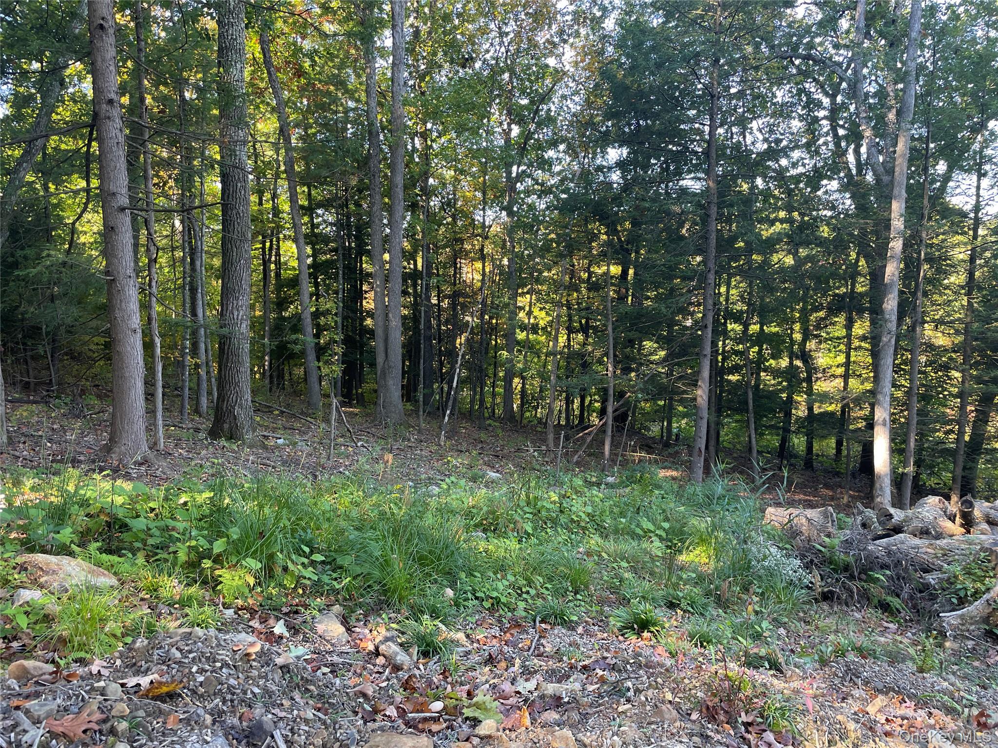 Mamakating Road Wurtsboro, NY 12790 - Photo 2 of 6 Gallery Image 2