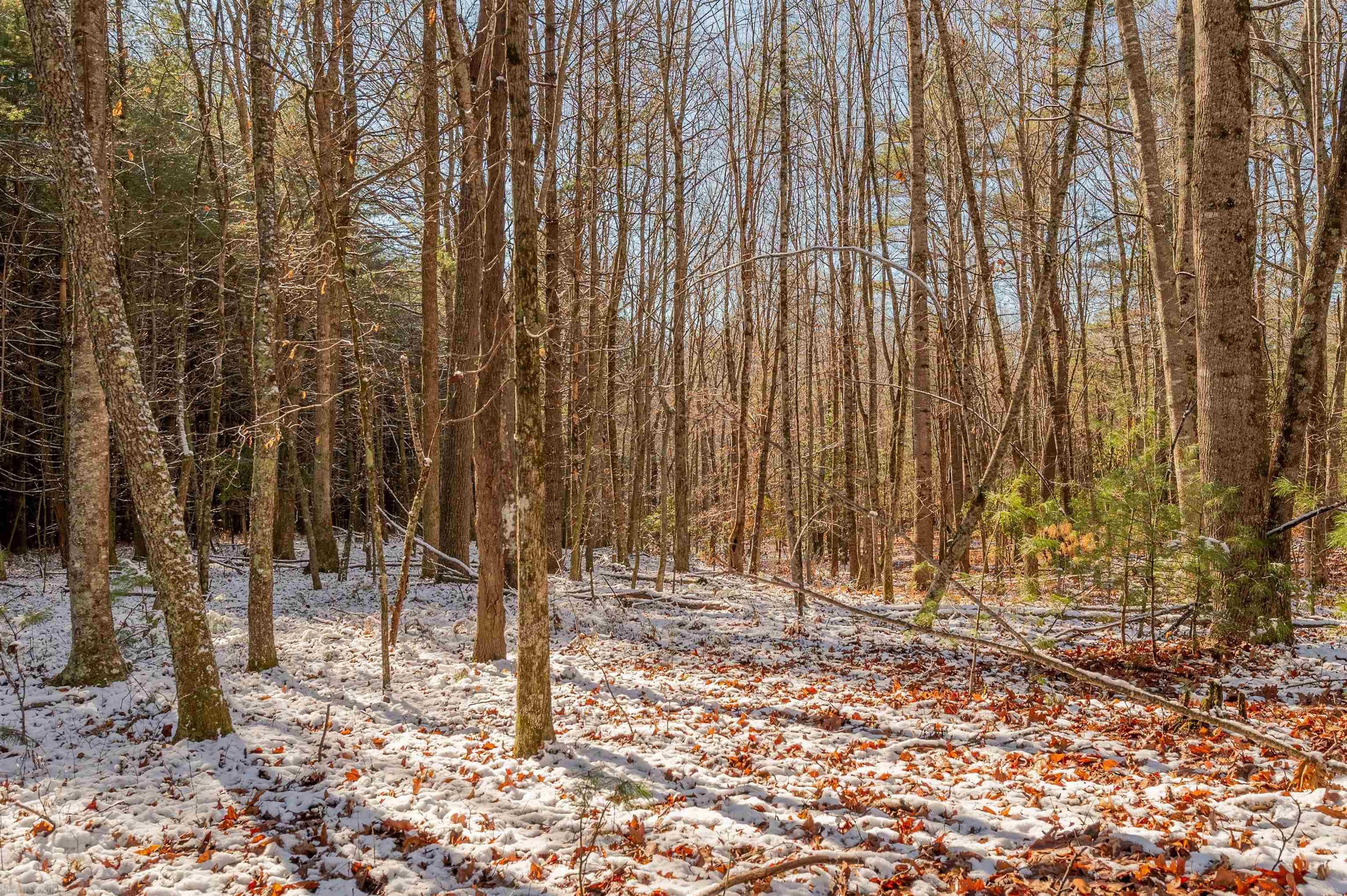 0 Willis Road Floyd, VA 24091 - Photo 15 of 17 Gallery Image 15