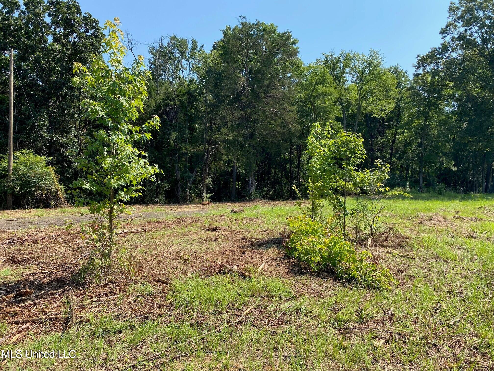 Mt Pleasant Road Byhalia, MS 38611 - Photo 4 of 7 Beautiful Home Site