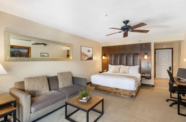 a spacious bedroom with a bed a couch and a potted plant