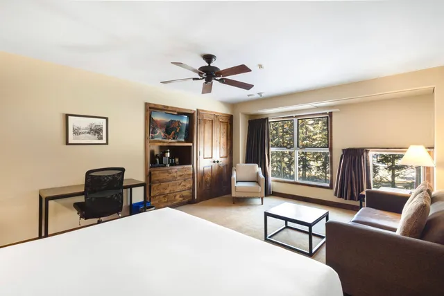 a bedroom with a bed and a couch