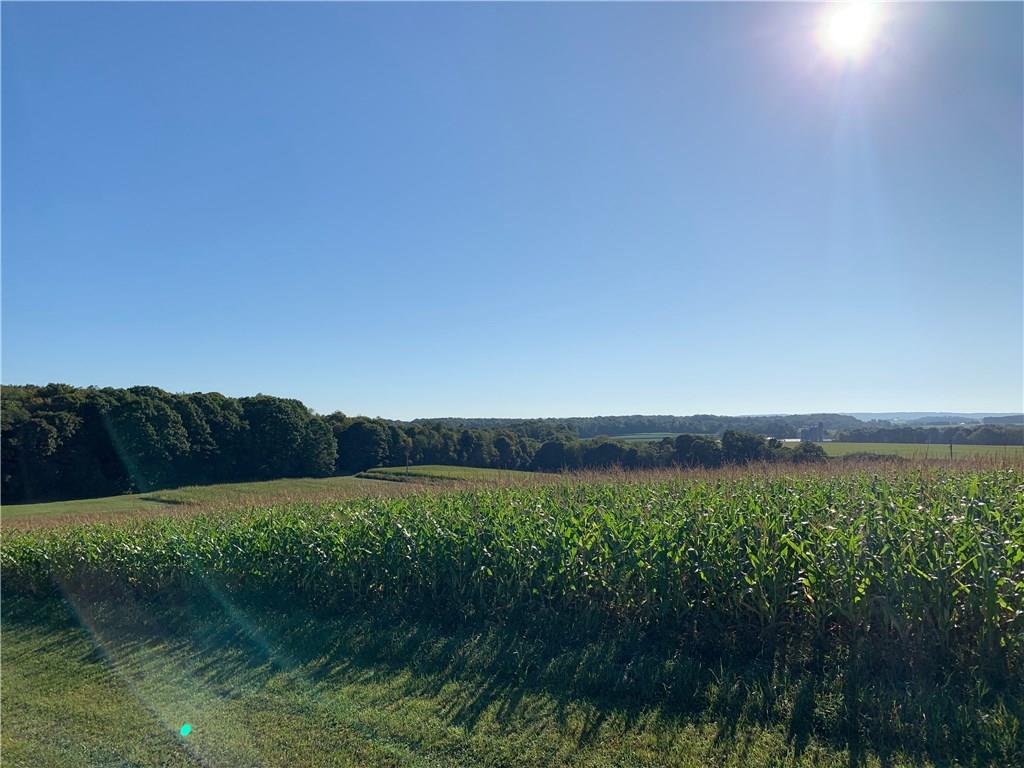 Lot 8 Potato Farm Road Somerset, PA 15501 - Photo 3 of 4 Gallery Image 3