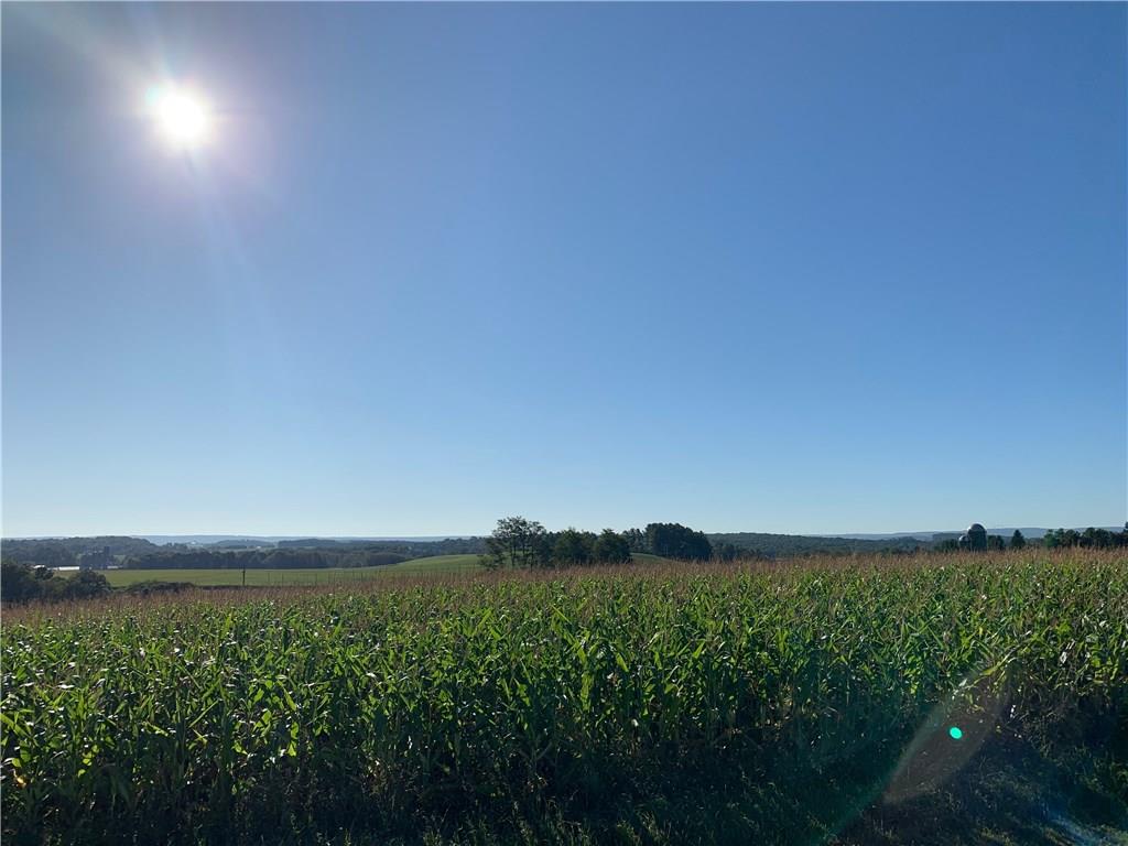 Lot 8 Potato Farm Road Somerset, PA 15501 - Photo 4 of 4 Gallery Image 4