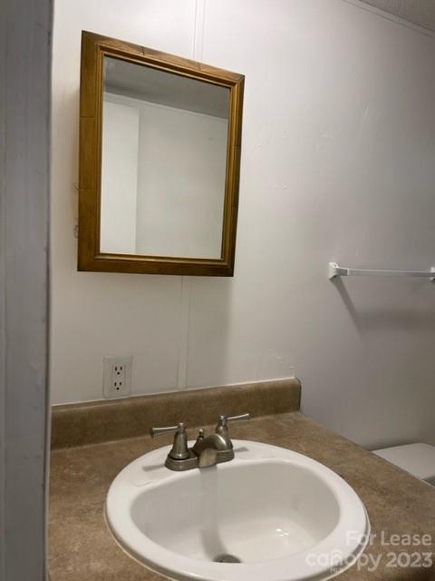 145 Merriman Road Statesville, NC 28625 - Photo 18 of 24 a bathroom with a sink and a mirror