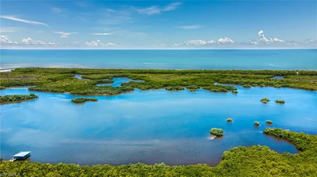 a view of an ocean and beach