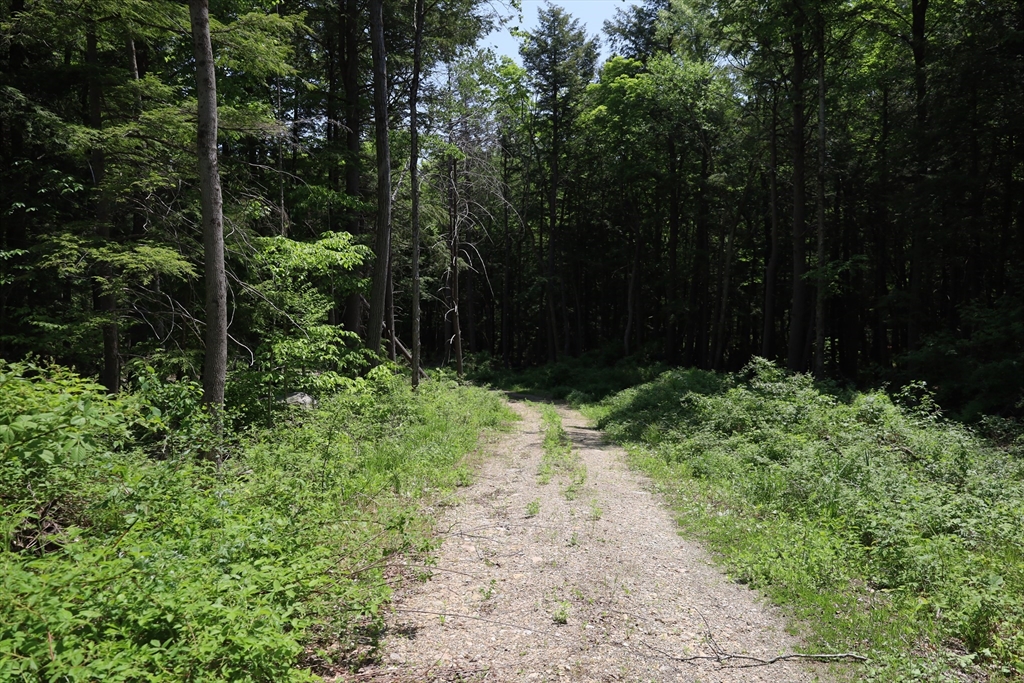 Lot 3 Yokum Pond Road Becket, MA 01223 - Photo 18 of 35 a view of backyard with green space