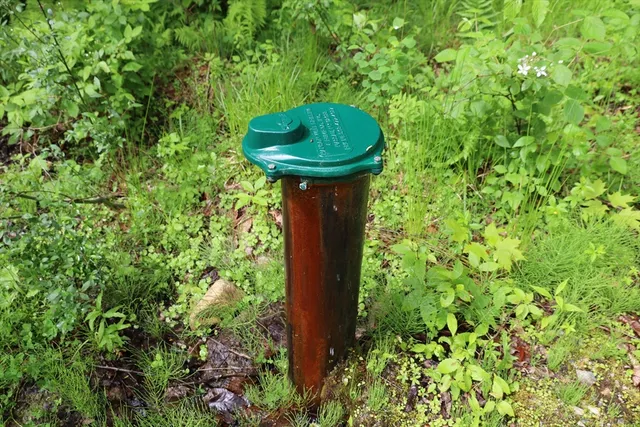 a view of a garden with a sink