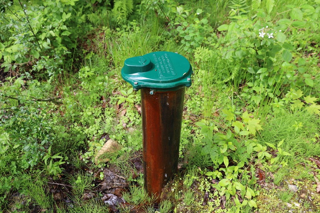 Lot 3 Yokum Pond Road Becket, MA 01223 - Photo 30 of 35 a view of a garden with a sink