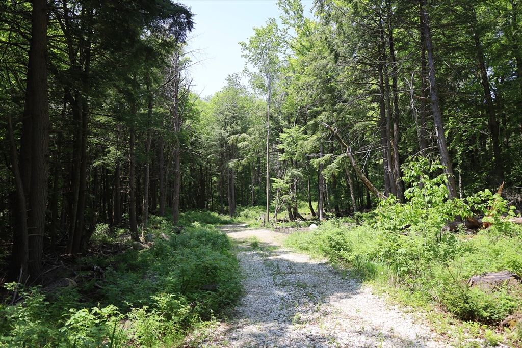 Lot 3 Yokum Pond Road Becket, MA 01223 - Photo 4 of 35 a view of outdoor space and yard