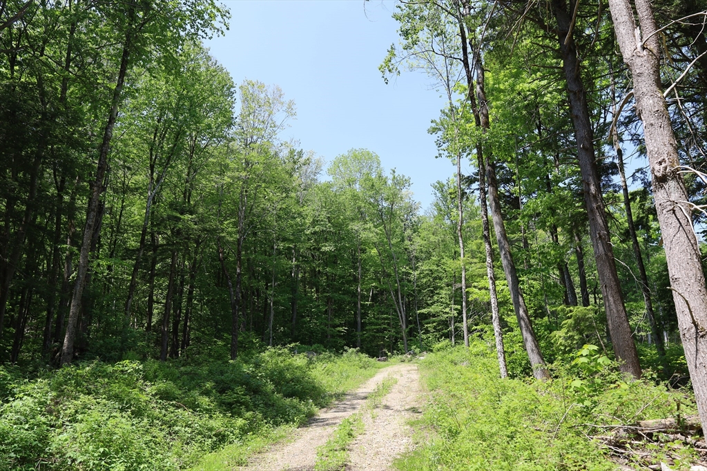 Lot 3 Yokum Pond Road Becket, MA 01223 - Photo 5 of 35 a backyard of a house with lots of green space