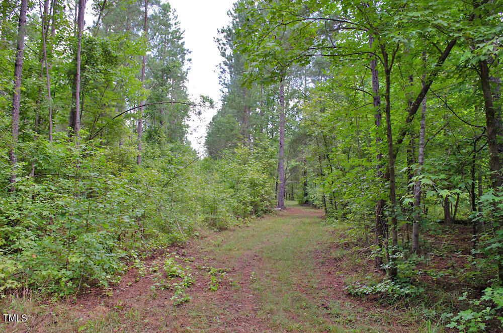 4070 Range Road Stem, NC 27581 - Photo 10 of 26 DSC_0012