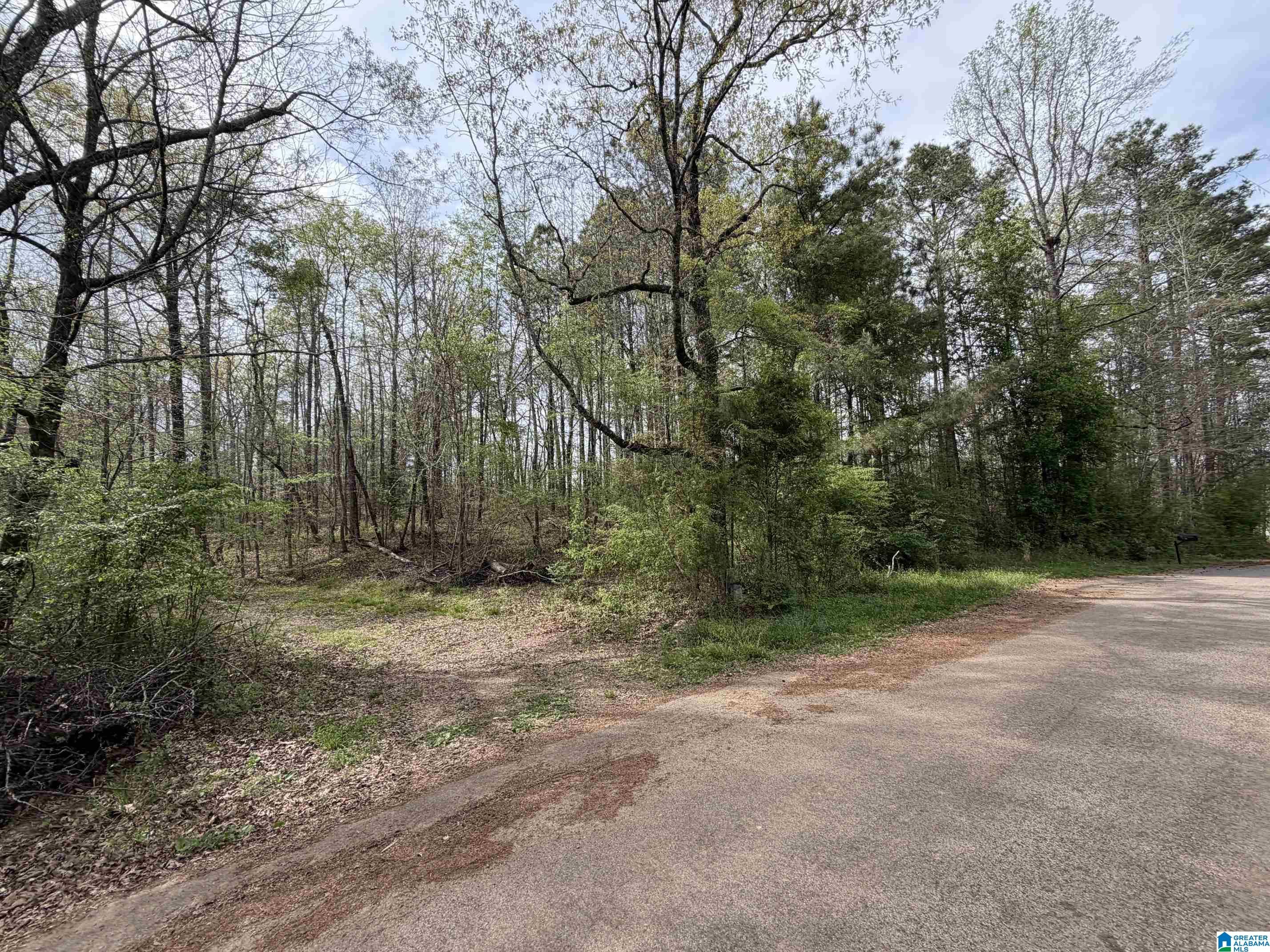 0 James Lake Road, Unit 1 Trussville, AL 35173 - Photo 1 of 18