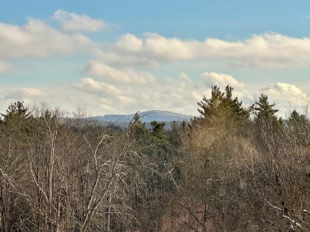 138 Stone Pond Road Marlow, NH 03456 - Photo 25 of 60