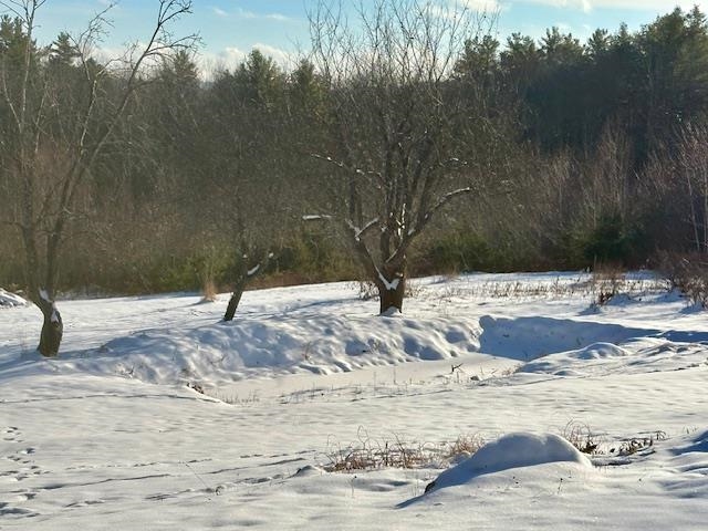 138 Stone Pond Road Marlow, NH 03456 - Photo 50 of 60