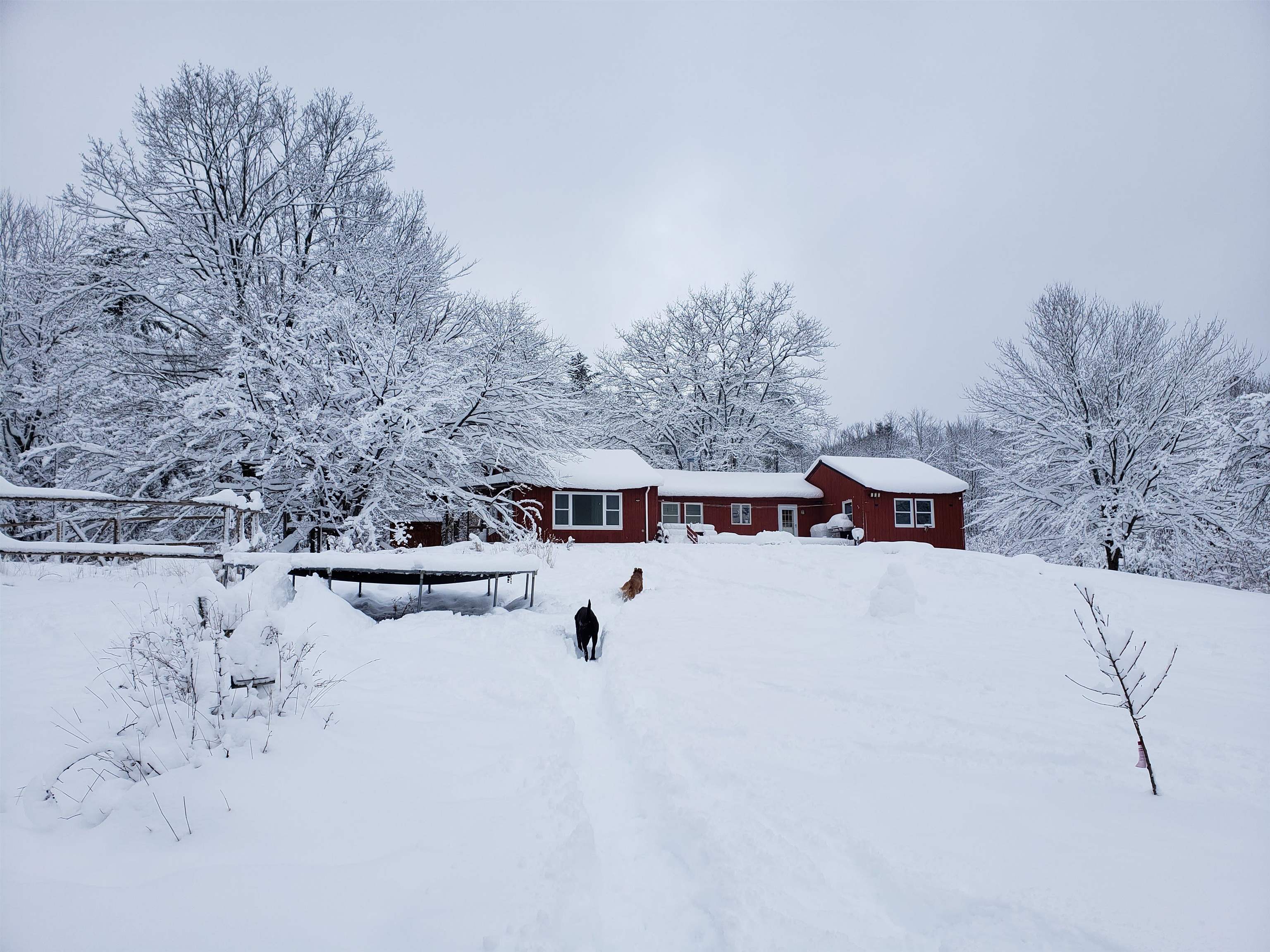 138 Stone Pond Road Marlow, NH 03456 - Photo 53 of 60