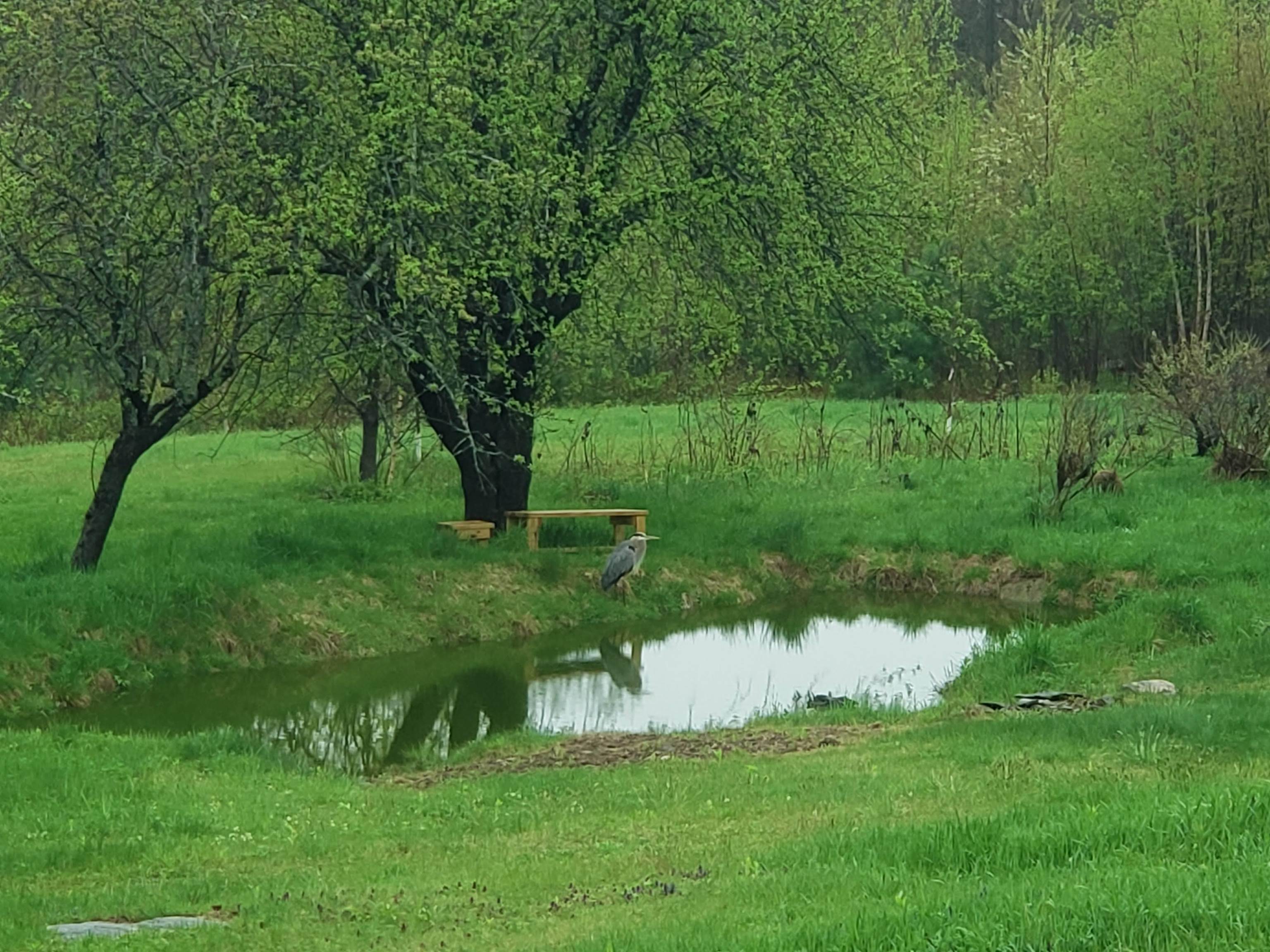 138 Stone Pond Road Marlow, NH 03456 - Photo 57 of 60