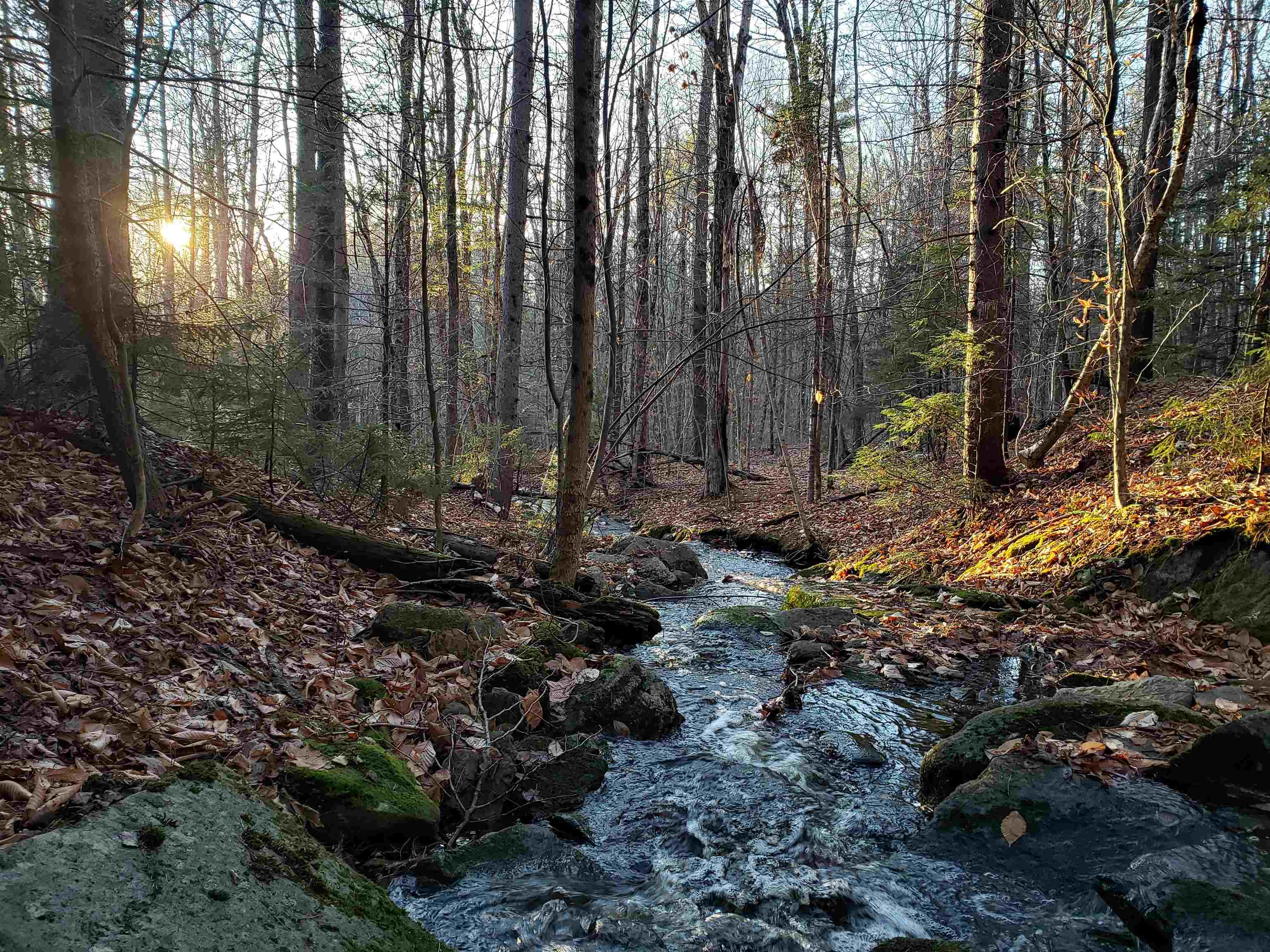 138 Stone Pond Road Marlow, NH 03456 - Photo 58 of 60