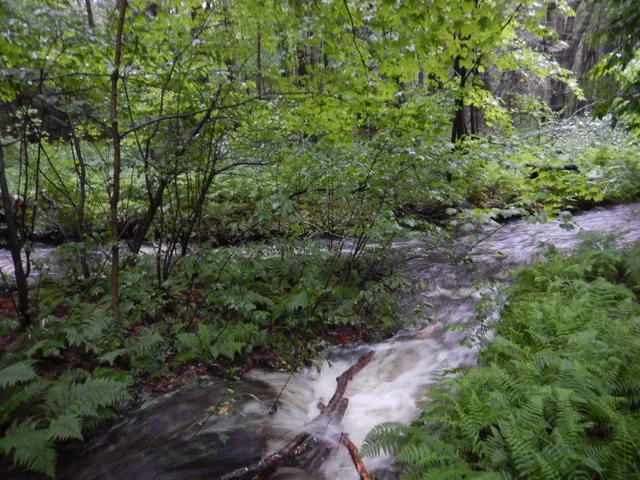 $359,900 | 138 Stone Pond Road, Marlow, NH 03456