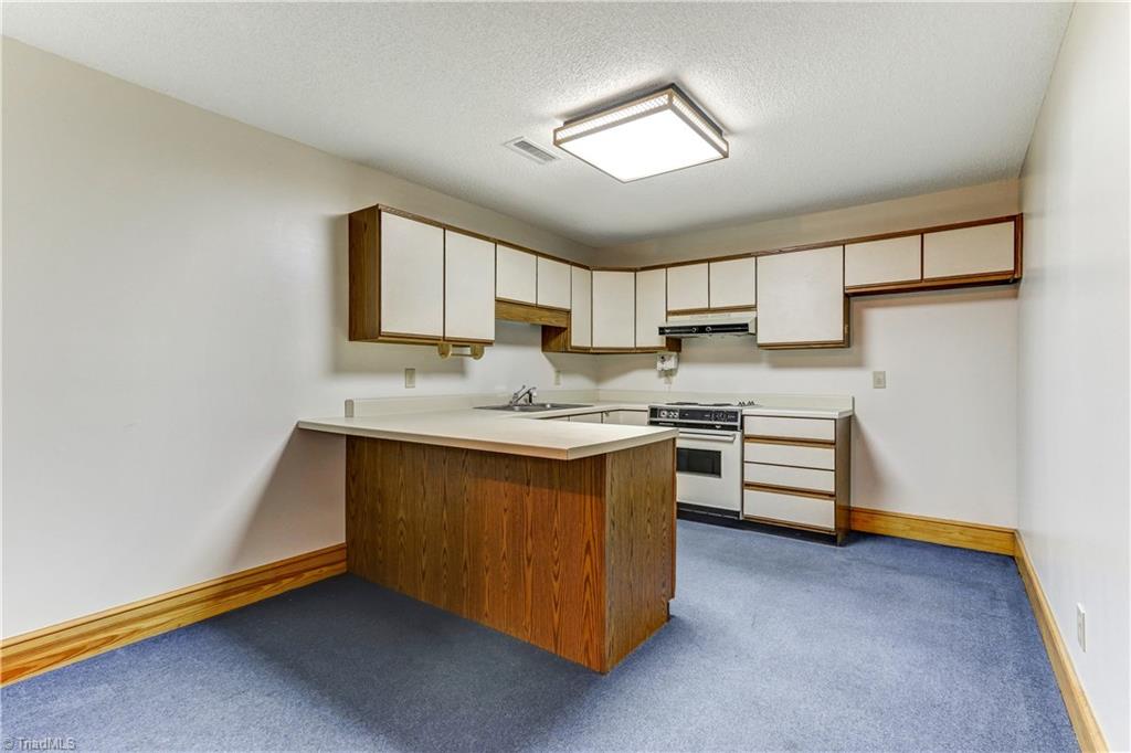 761 Hudson Road Summerfield, NC 27358 - Photo 19 of 28 The Basement has a full kitchen with double sink, slide in electric range and space for refrigerator. Flooring is carpet.