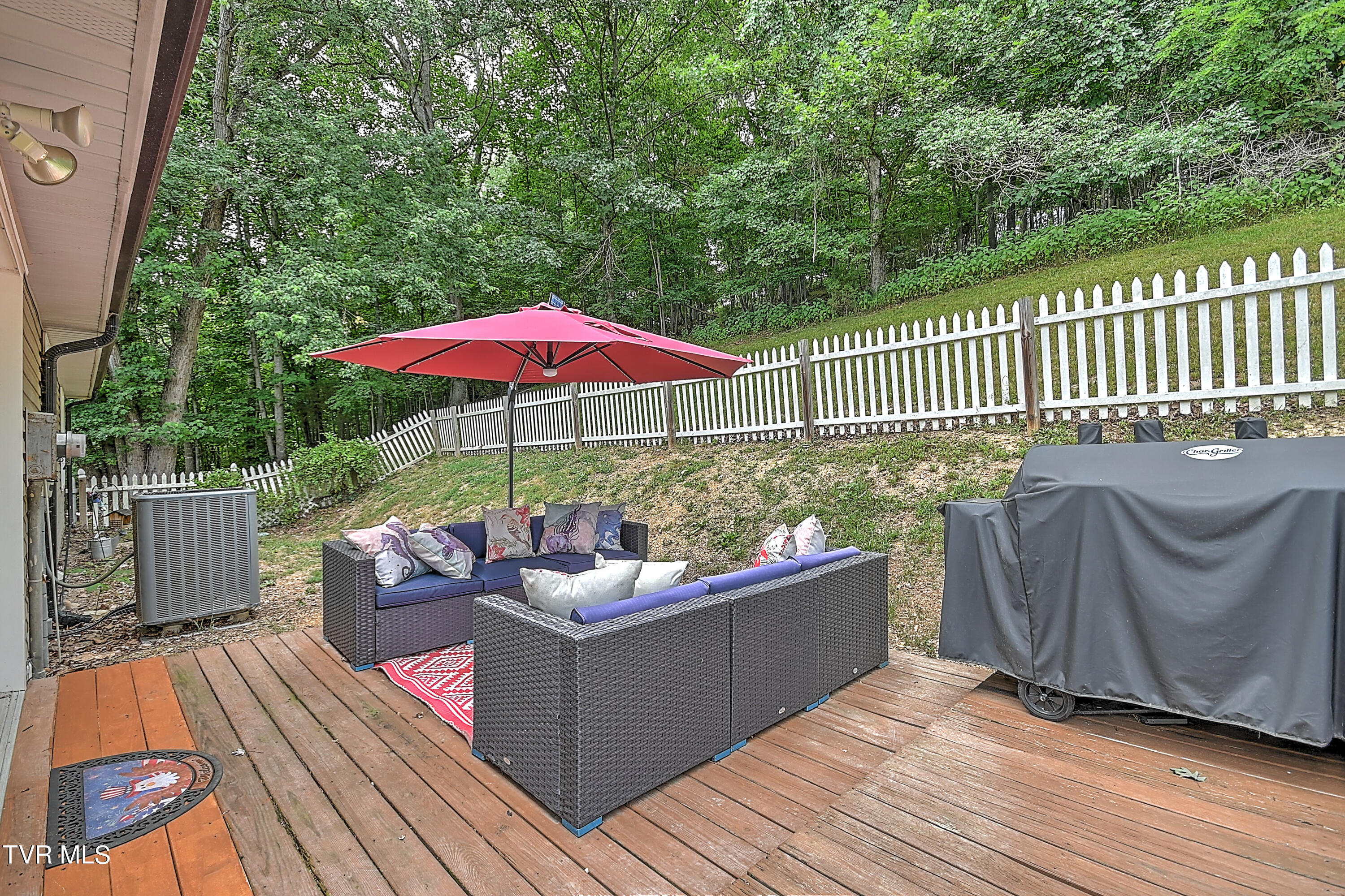 412 Lakeshore Road Bluff City, TN 37618 - Photo 40 of 57 412 Lakeshore RA-43