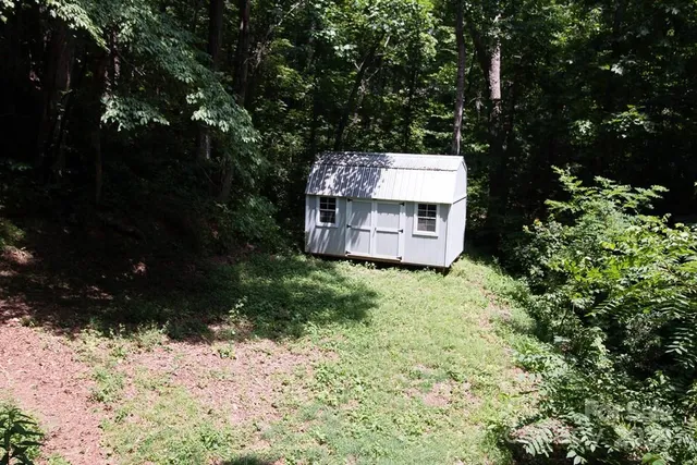 a view of a tree with a yard
