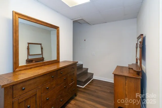 a room with wooden floor and potted plant