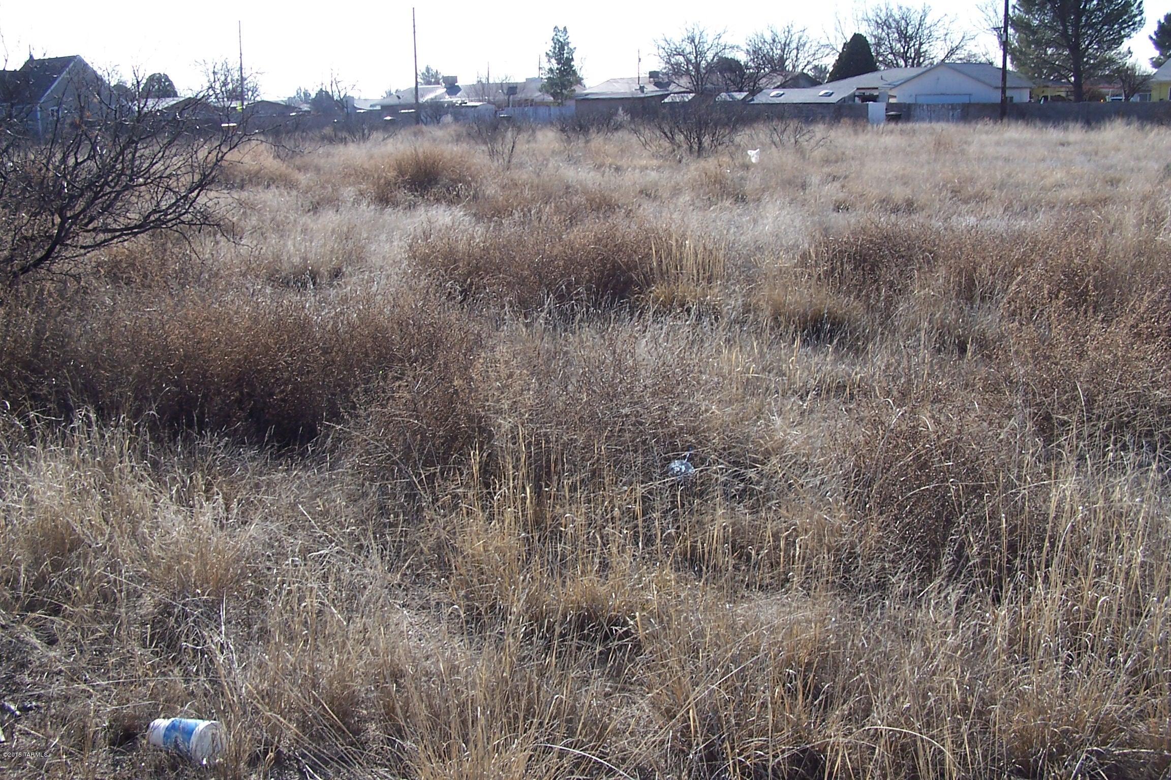 53-ac West Airport Road Willcox, AZ 85643 - Photo 2 of 7