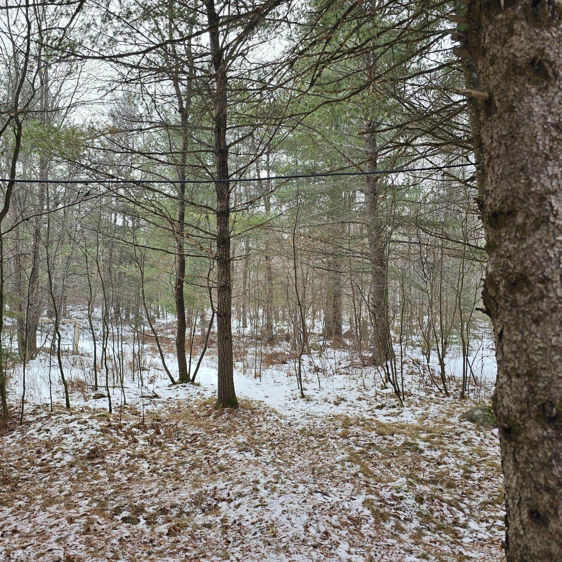 4074 Bucktail Lane Rhinelander, WI 54501 - Photo 29 of 29 Gallery Image 29