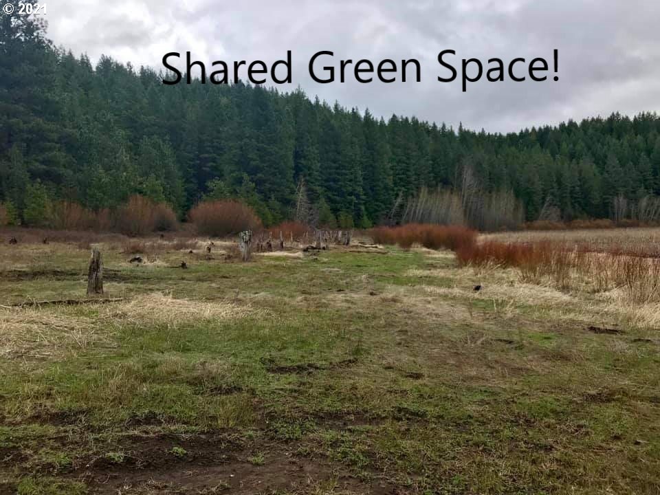 39 Pine Ridge Goldendale, WA 98620 - Photo 3 of 8 Gallery Image 3