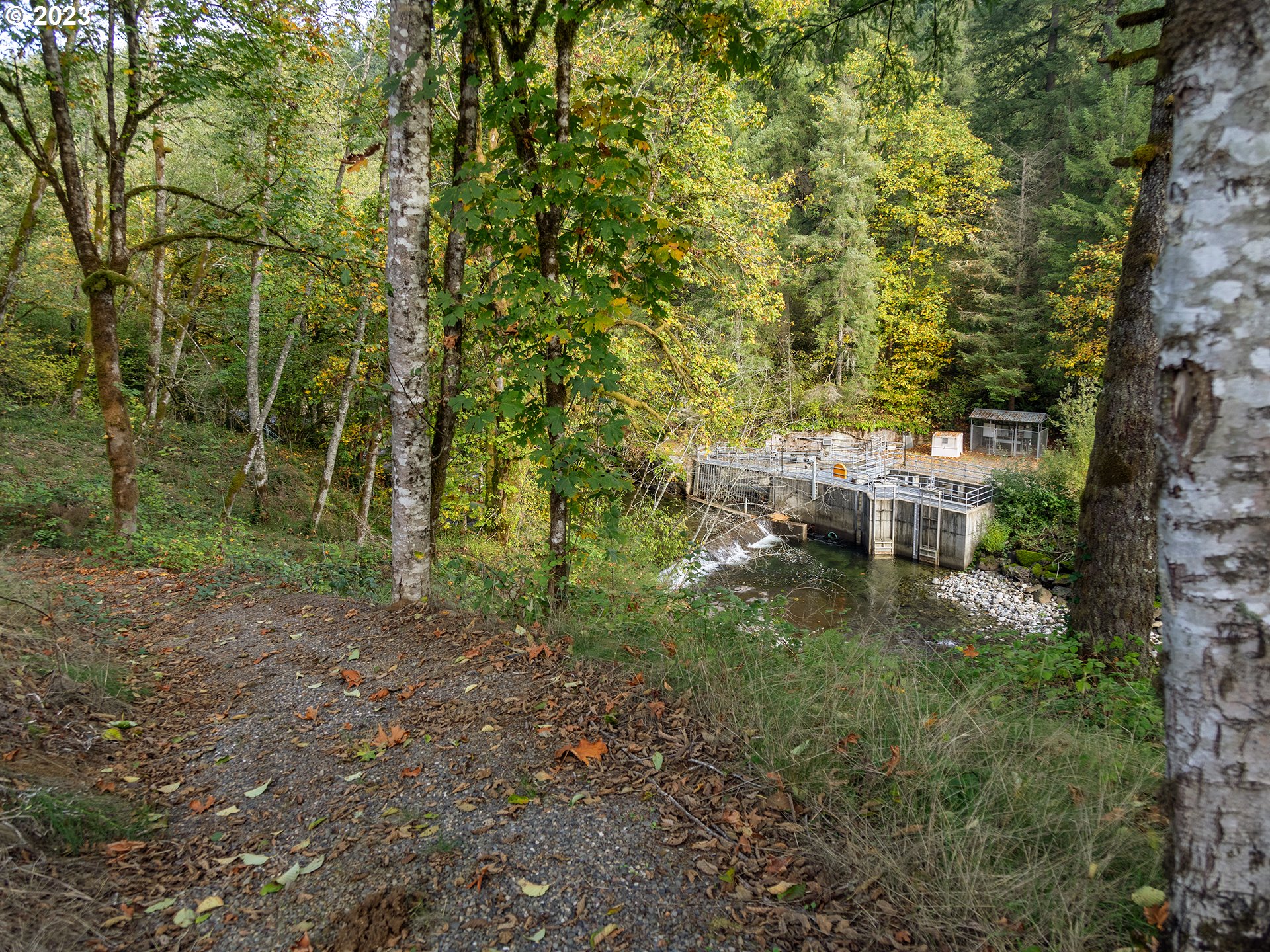 502 River Road Washougal, WA 98671 - Photo 36 of 41 Gallery Image 36
