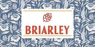 414 Lone Ranger Drive Montgomery, TX 77316 - Photo 40 of 41