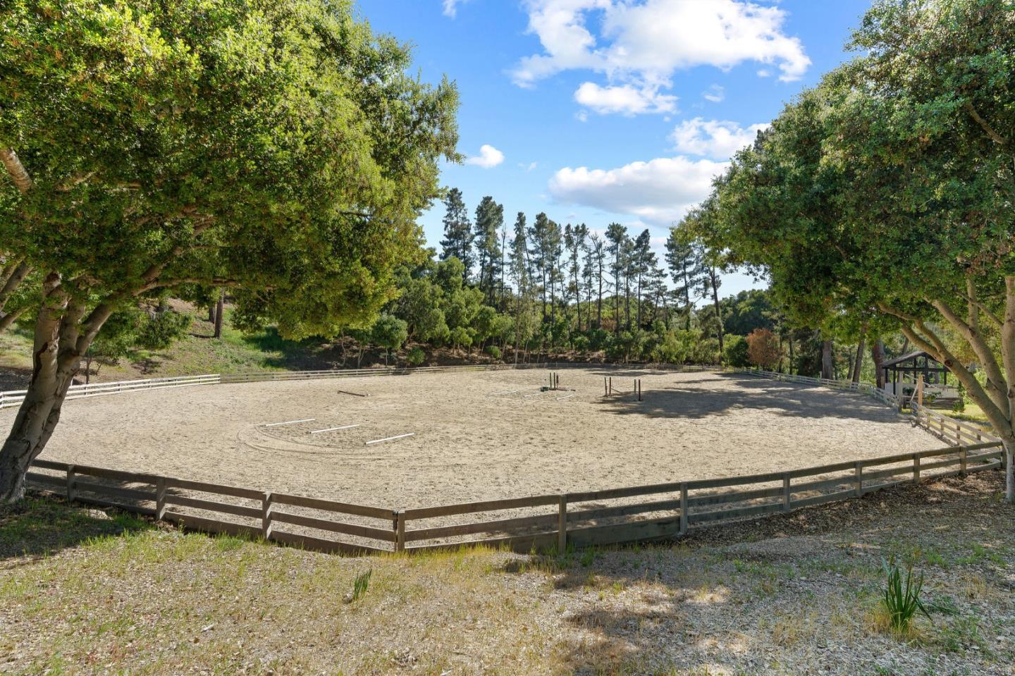 11627 Hidden Hills Road Carmel Valley, CA 93924 - Photo 61 of 62 a view of a yard with trees