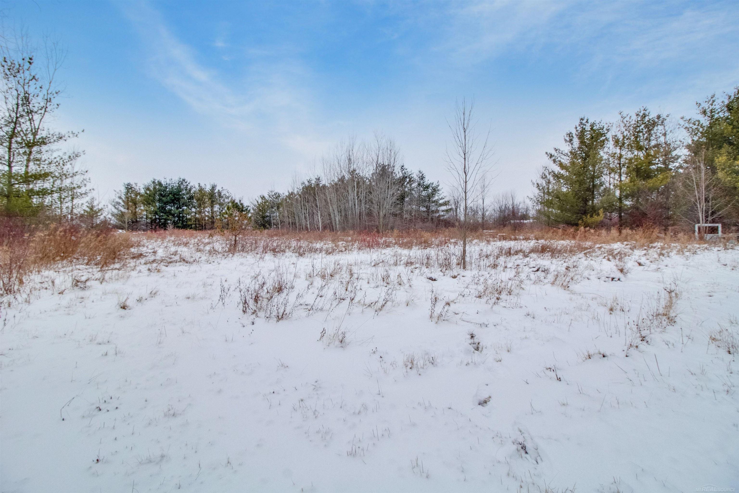 1693 Wales Center Road Goodells, MI 48027 - Photo 4 of 10 Gallery Image 4