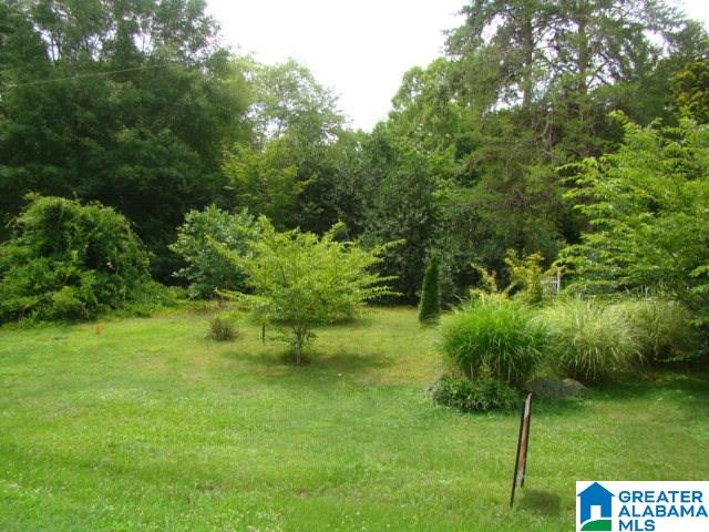 940 Lees Bridge Road Delta, AL 36258 - Photo 41 of 42