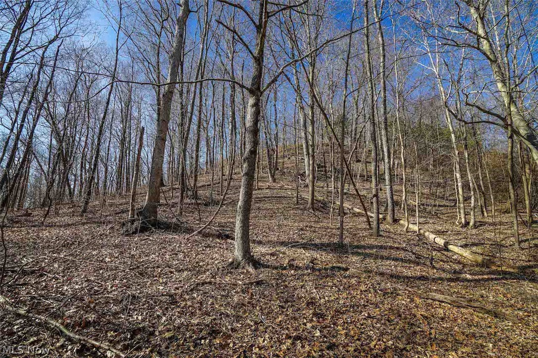 6435 Buttermilk Road Blue Rock, OH 43720 - Photo 21 of 33 Gallery Image 21