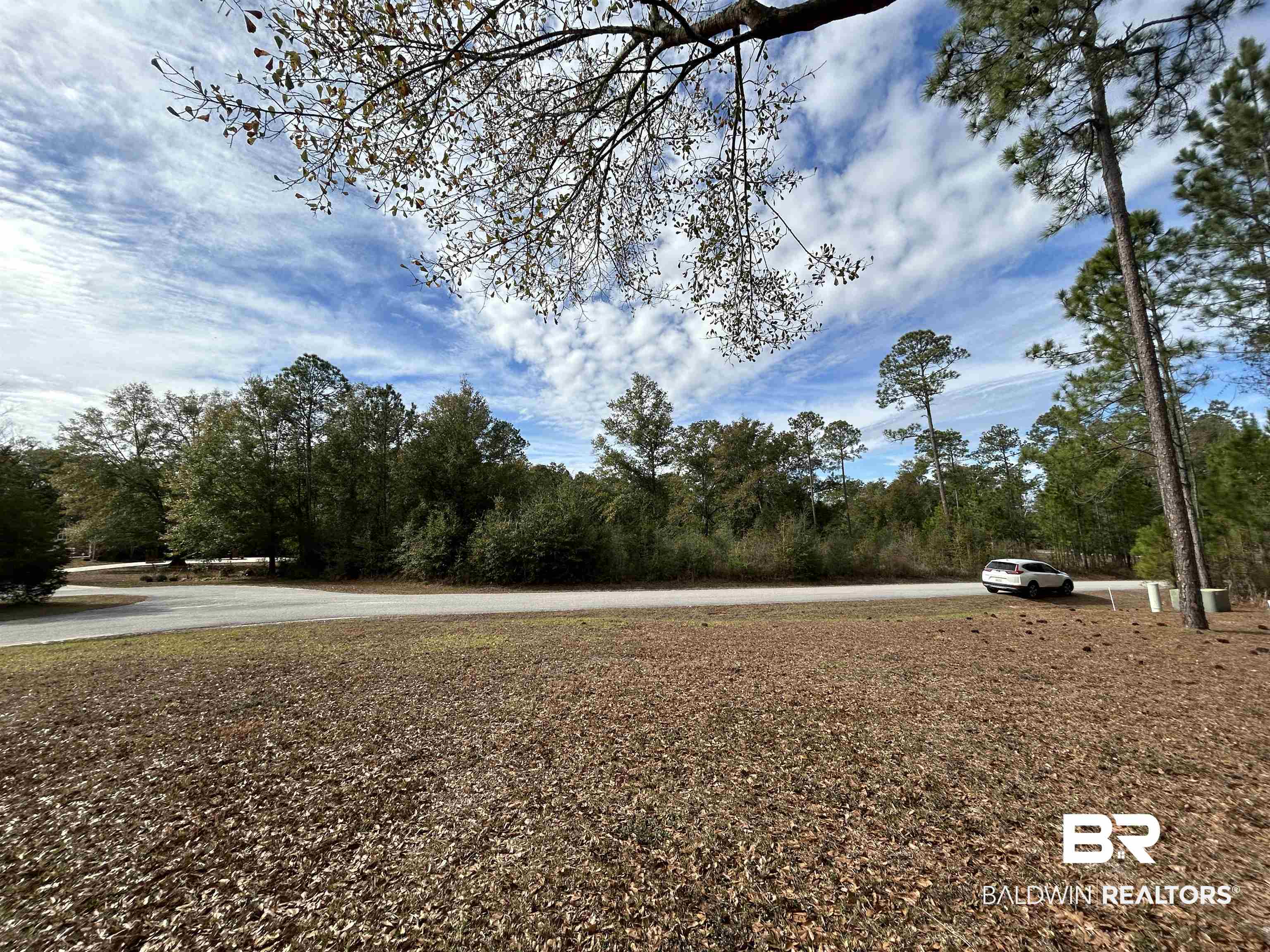 272651 Pandion Drive Foley, AL 36535 - Photo 6 of 13