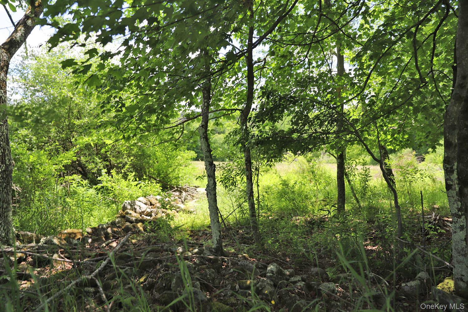 Dietz Road Callicoon Center, NY 12724 - Photo 20 of 24 Portion of an old stone wall
