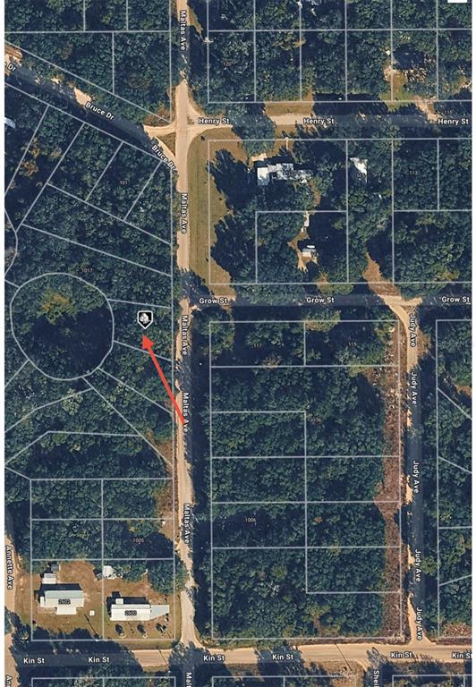 Tbd Maltas Avenue Interlachen, FL 32148 - Photo 4 of 7