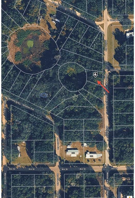 Tbd Maltas Avenue Interlachen, FL 32148 - Photo 6 of 7