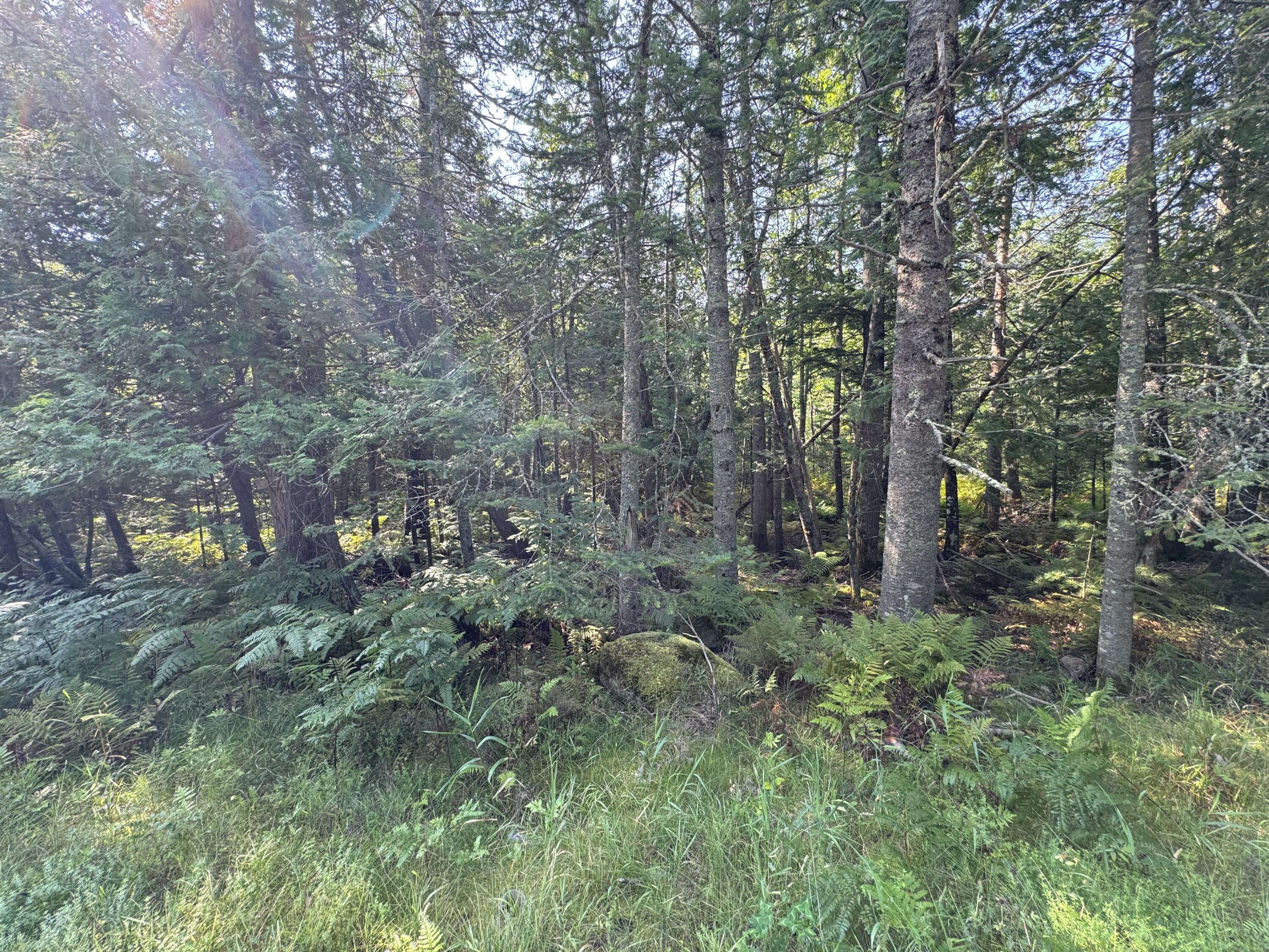 Lot 6-1 Lot Road Levant, ME 04456 - Photo 14 of 16 Stetson Road