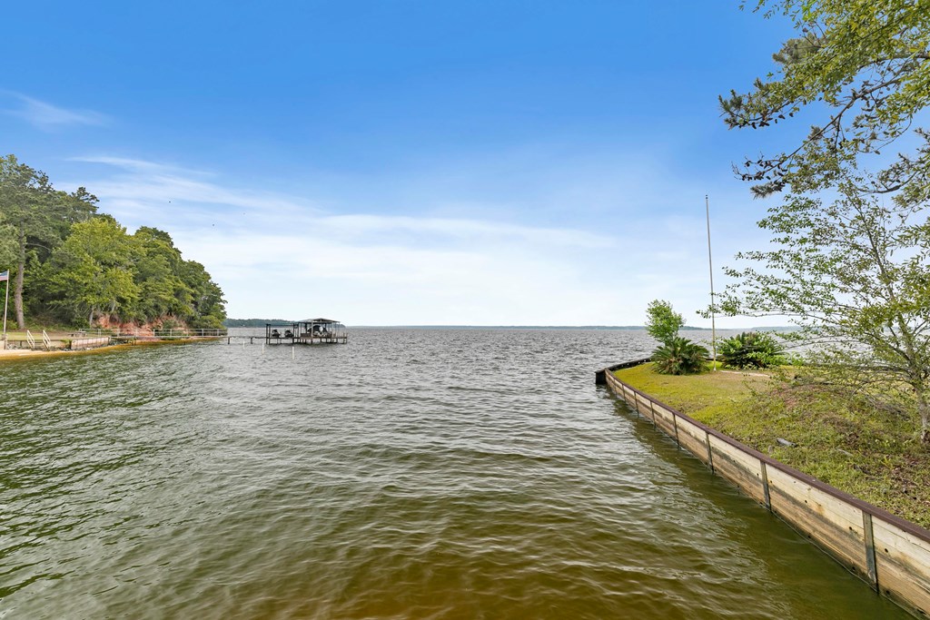1704 Otho Road Abbeville, AL 36310 - Photo 34 of 66
