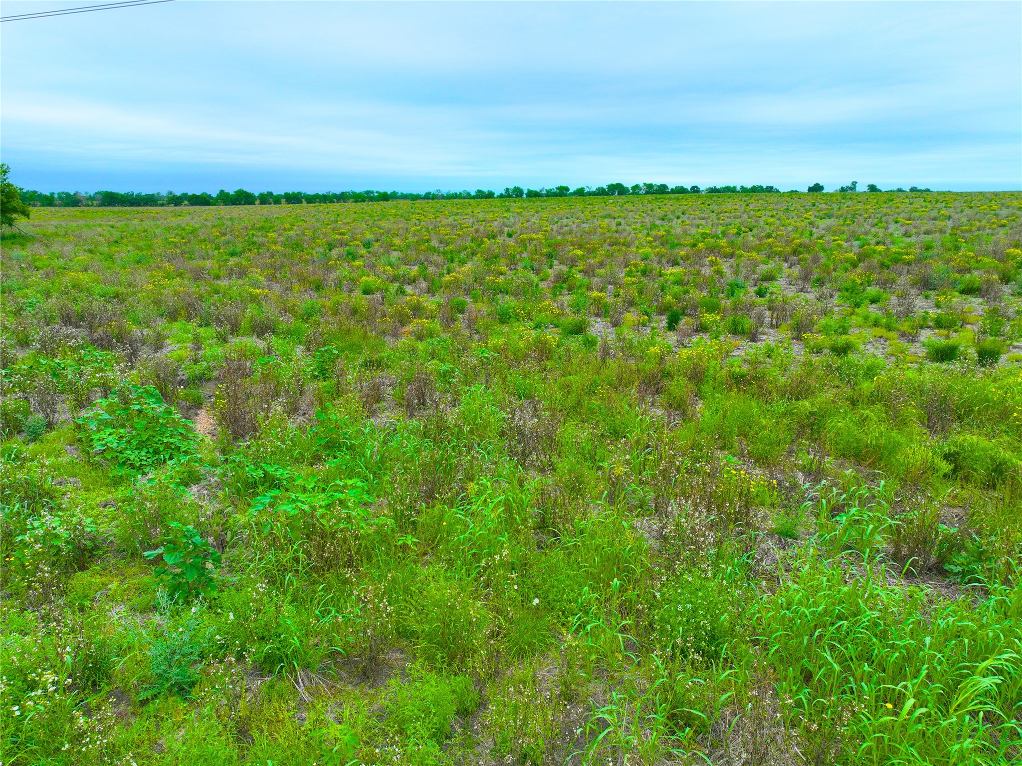 Tbd Lot 7-blk 2 Tbd Road Buckholts, TX 76518 - Photo 4 of 7 a view of a field with an ocean view