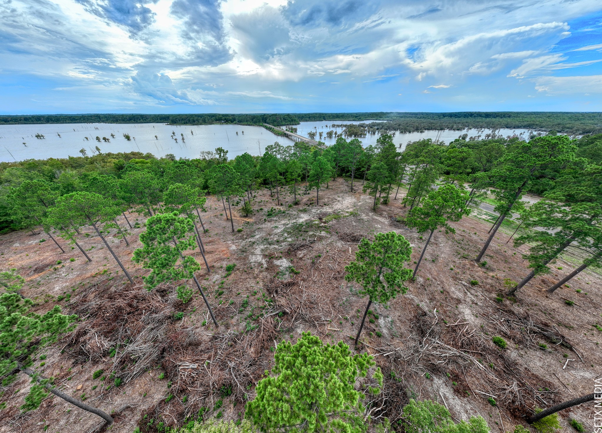 3 Fm 83 Bronson, TX 75930 - Photo 19 of 25 a view of a pathway with a field